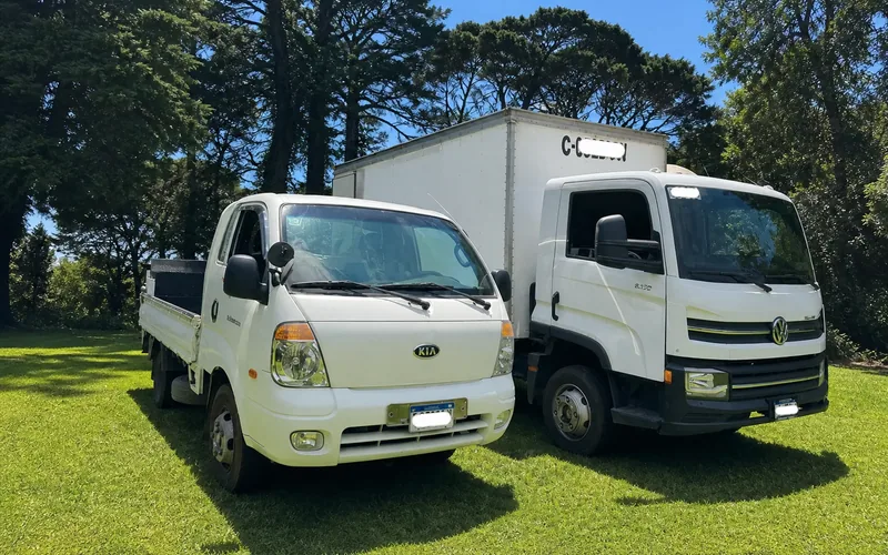 Flota de camiones de mudanza TRANSPA para servicio en Zona 2
