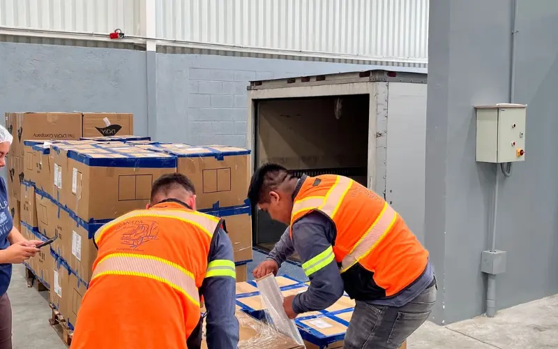 Equipo profesional de mudanzas